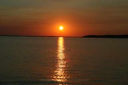 The Best Places to View a Cape Cod Sunset