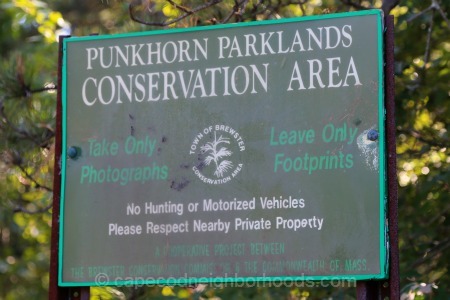 Discover Nature at the Punkhorn Parklands