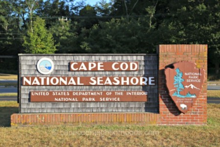 Cape Cod National Seashore Attracts Many