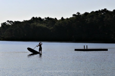 Paddleboarding on Cape Cod