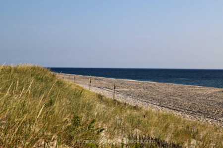 Take a Fall Walk on Nauset Beach