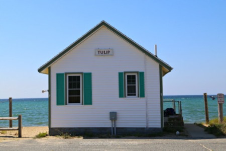 Days’ Cottages in Truro: Iconic Cape Community
