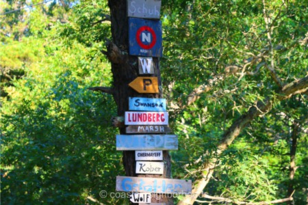 Demystifying Cape Cod Names