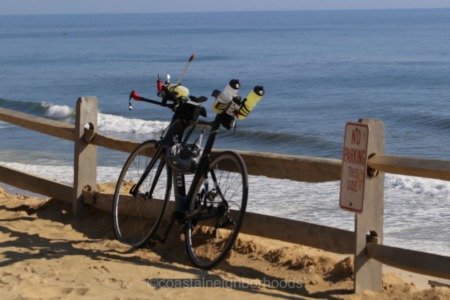 Provincetown Named Top US Cycling City