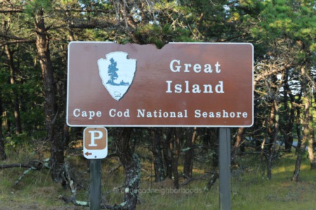 Best Hikes on Cape Cod