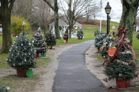 Kate Gould Park Comes Alive on Summer Nights in Chatham