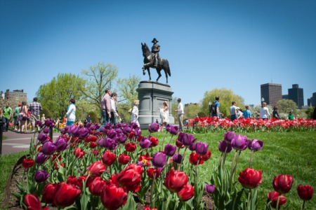 The Most Instagrammable Places in Boston to Visit 