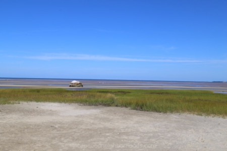 Everything to Know About The Brewster Tidal Flats 