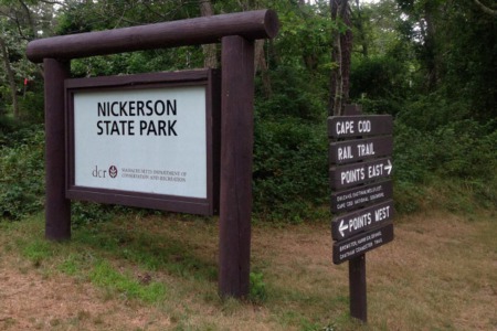 The Story Behind Nickerson Park