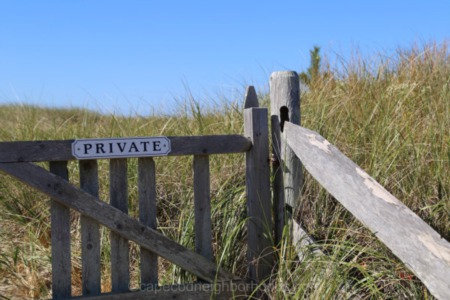 Cape Cod Beach Grass Comes From… A Farm?