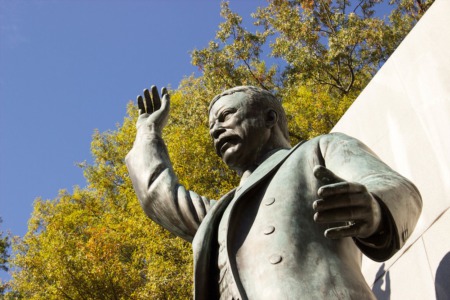Treasured Green Spaces in Washington DC
