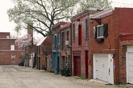 DC Alley Neighborhoods
