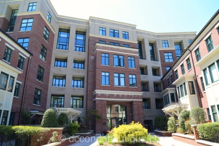 Tenley Hill Luxury Town Homes