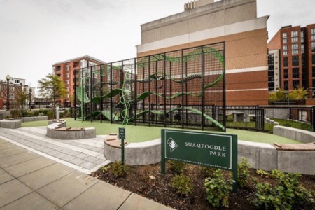DC’s Hidden Neighborhood: Swampoodle 