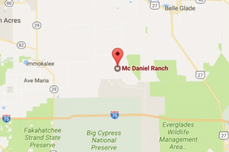 25,000 homes in ranch plans