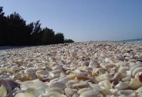 Captiva and Sanibel tourism