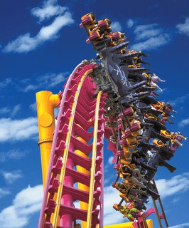 Fort Myers Roller Coaster Real Estate