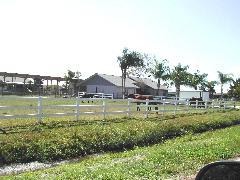 Equestrian Homes in SW Cape Coral