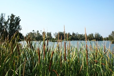Fort Myers Communities Near Lakes Park