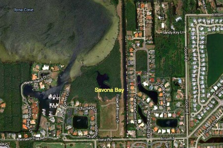 Savona Bay: New Gulf Access Homes in Fort Myers