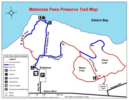 Explore Nature at Matanzas Pass Preserve