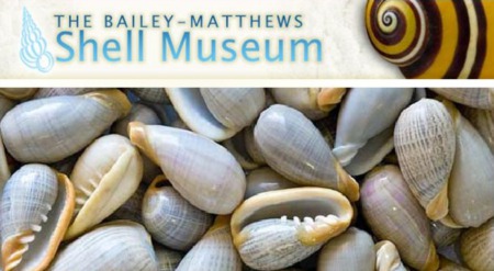 Bailey-Matthews Shell Museum is Sanibel Fixture