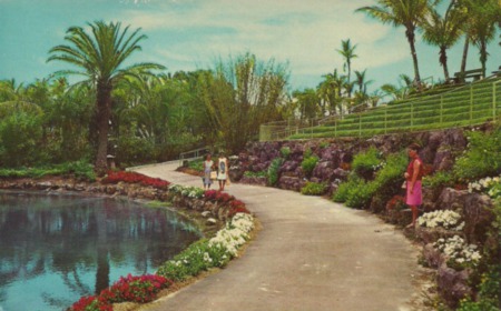A Look Back at the Cape Coral Gardens
