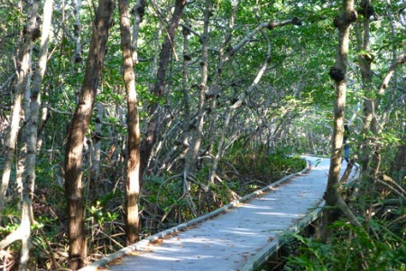 Four Mile Cove: Explore Cape Coral Nature