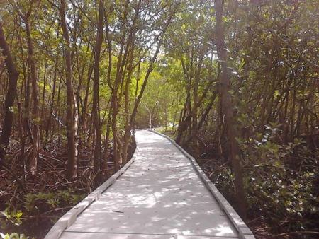 Explore Nature at Matanzas Pass Preserve