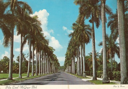 Old Fort Myers Along Venerable McGregor Boulevard