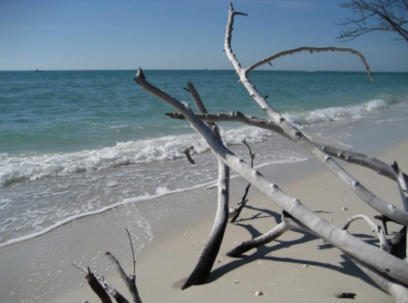 5 Hikes in the Bonita Springs & Estero Area