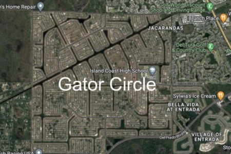 Gator Circle in Cape Coral Has Lots to Love 