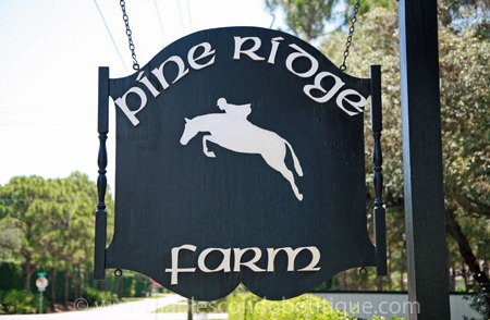 Pine Ridge Offers Privacy and Prestige