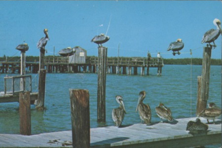 A Look Back at Marco Island’s Development