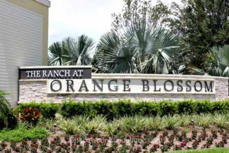 Executive Homes Ideal For Families at Orange Blossom Ranch