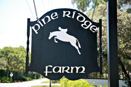 Pine Ridge Offers Large Lots and Wooded Setting Close to Beach 