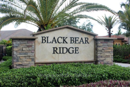 Black Bear Ridge Offers Oversize Lots but No Bears 