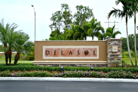Delasol Combines Oversized Lots and Winding Driveways with Low HOA Fees