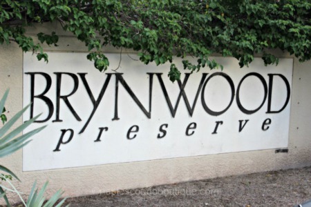 Brynwood Preserve Offers Spacious Homes on Generous Lots 
