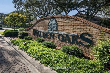 Oversized Yards and Leafy Canopies: Welcome to Walden Oaks 