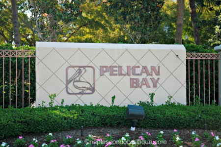 Some of Our Favorite Pelican Bay Neighborhoods