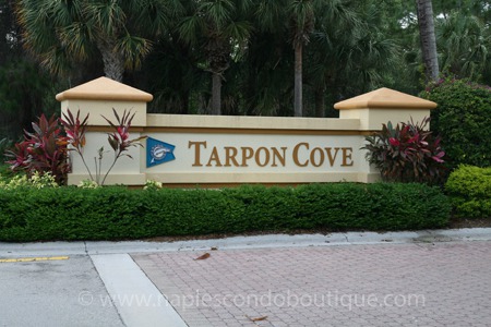 What’s a Tarpon and Why are So Many SFW Communities Named For It?