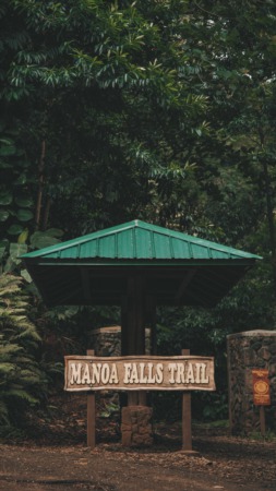 Ridgelines & Waterfalls: The Manoa Valley Community