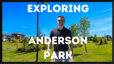 Exploring Anderson Park Redondo Beach
