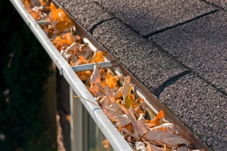 Reasons Why You Should Clean Your Gutters Every Falll