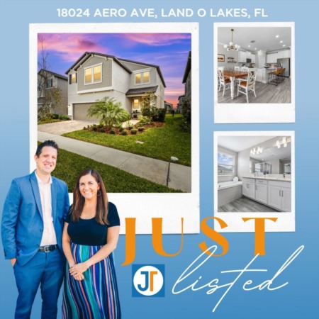 JUST LISTED: 18024 AERO AVE, LAND O LAKES, FL