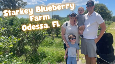 A Family Adventure at Starkey Blueberry Farm: Discovering the Best of Tampa Bay
