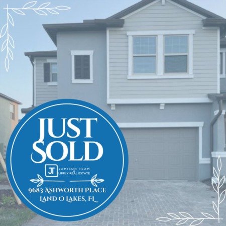 Just Sold: A Modern New Construction Home in Land O Lakes
