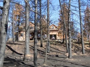 How to Protect Your Home From Wildfire