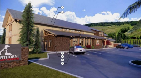 Silverthorne Veterinary Hospital looks to expand